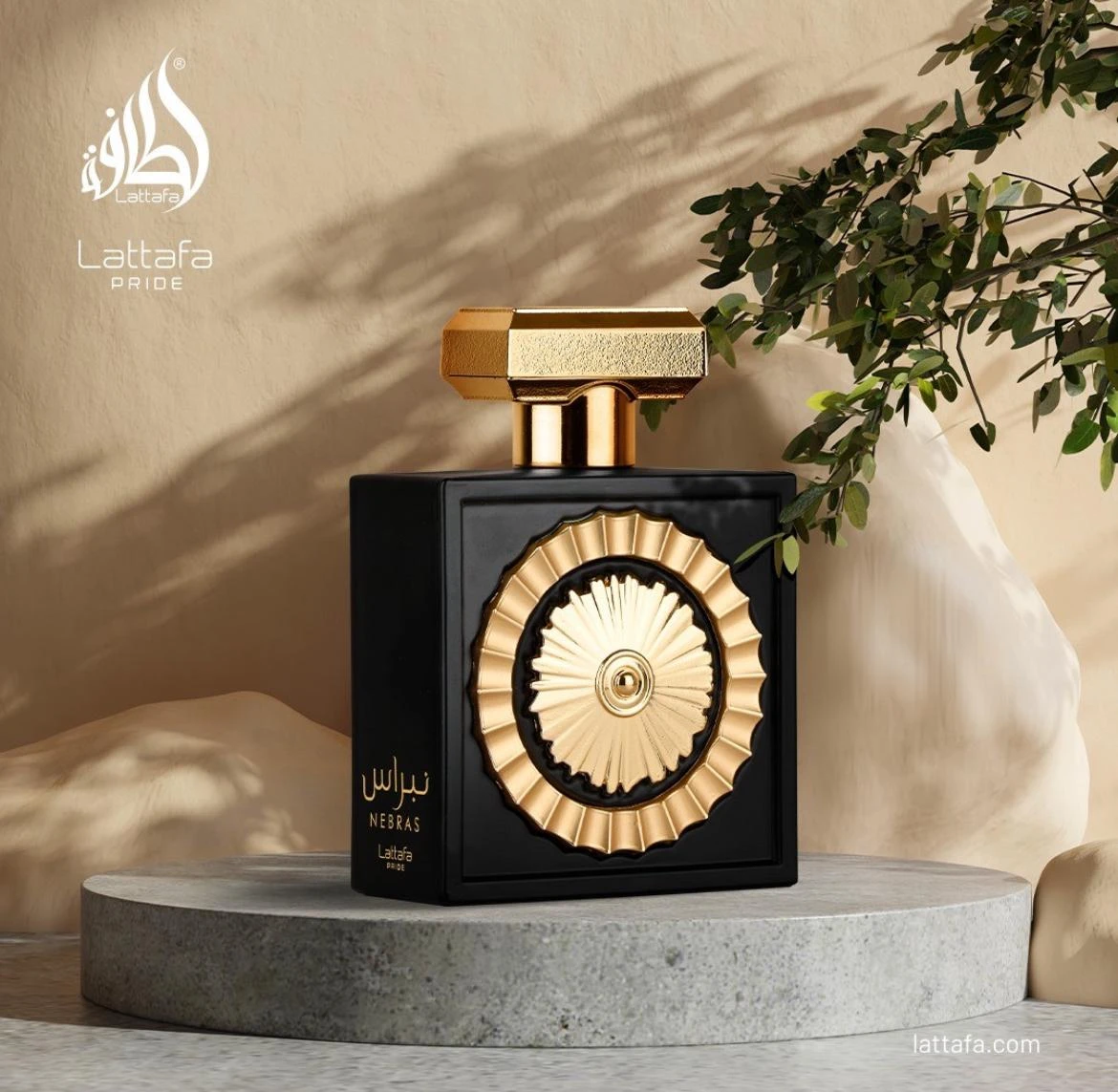 Nebras Lattafa Perfumes